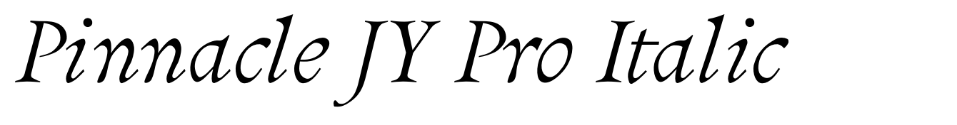 Pinnacle JY Pro Italic